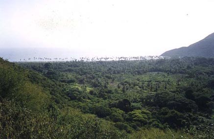 A view of Cuyagua from the road