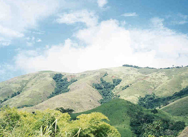 The green hills around Altagracia de Orituco