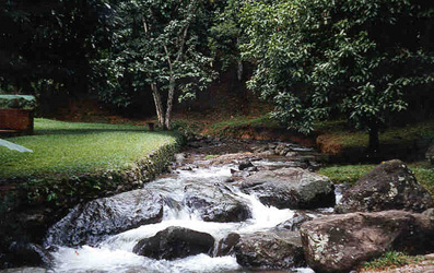 A stream running through the Agua Blanca area in Guatopo National Park