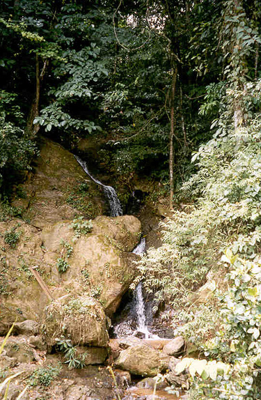A waterfall flowing through the national park of Guatopo