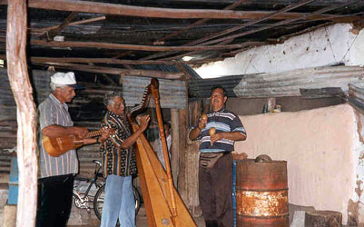 The llaneros playing joropo, tradition Venezuela music
