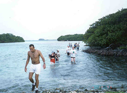 Chike and the others wading through the mangroves