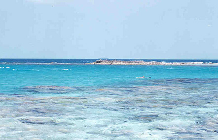 The reef on the eastern side of Francisqui