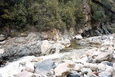The stream flowing in the valley below Los Nevados