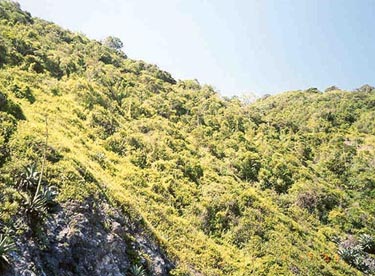 The Avila mountain separating Caracas from the coast